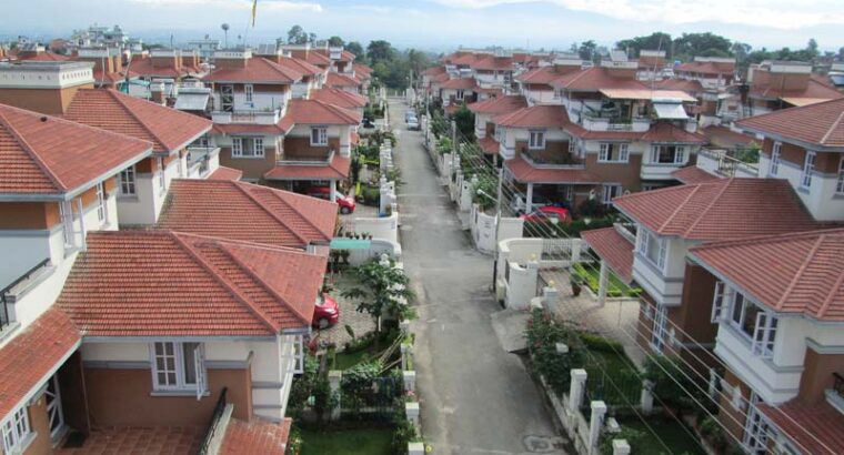 All types of Real Estates Advisor