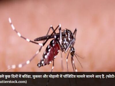 कोविड-19 से थोड़ी राहत मिलने के बाद डेंगू की चपेट में पंजाब, 4600 से अधिक मामले आए सामने