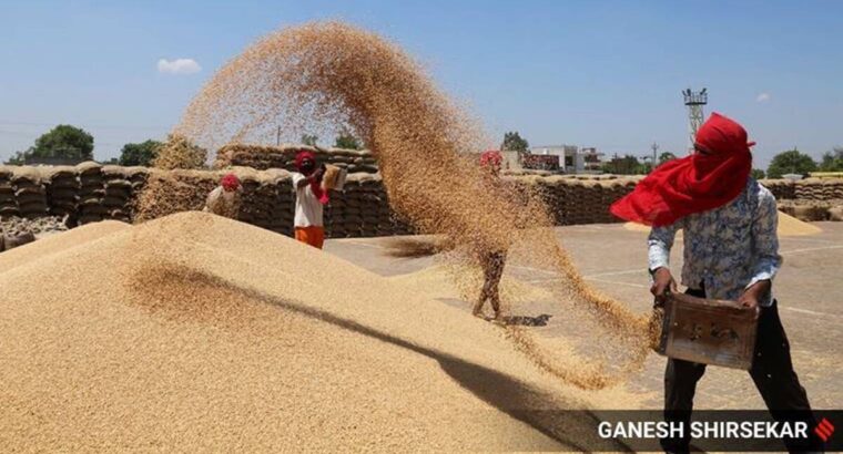 Govt procures 69 LMT wheat in current season