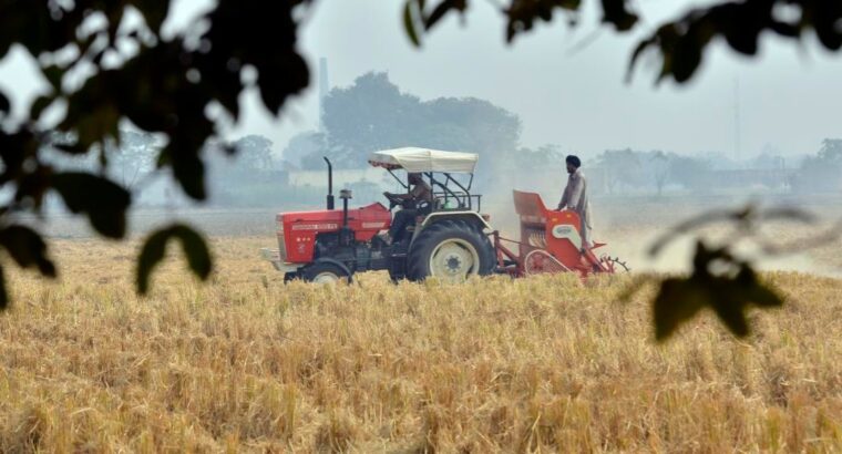 88% of Over 9,000 Punjab Farmers Who Died by Suicide in 18 Years Were Debt-Ridden: Study