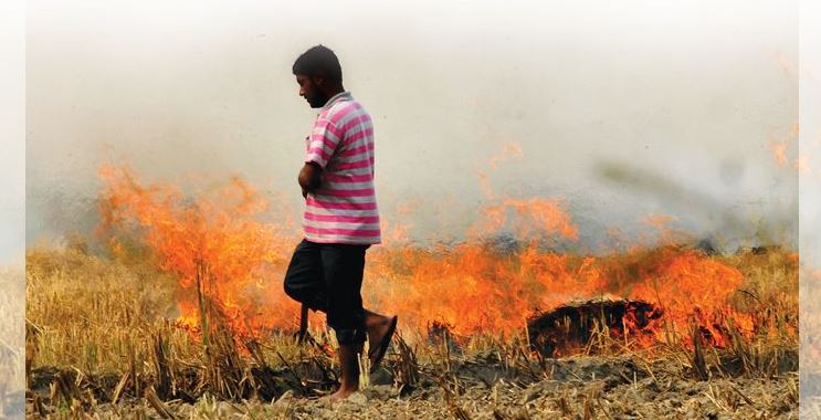 Malwa set to witness surge in farm fires, drop in air quality