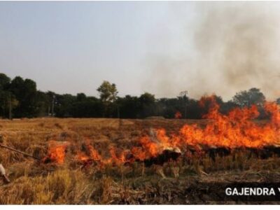 We are ignoring the simplest solution to the stubble burning problem