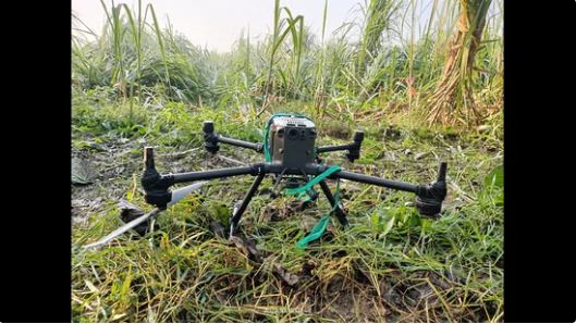 BSF launches search operation after drone spotted in Gurdaspur