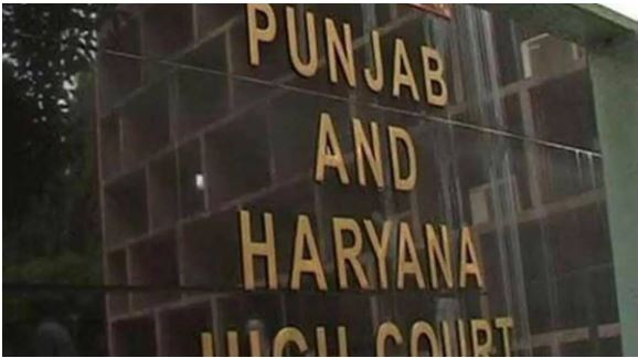 HC directs Punjab state election commissioner to draw schedule for sarpanch, municipal bodies polls